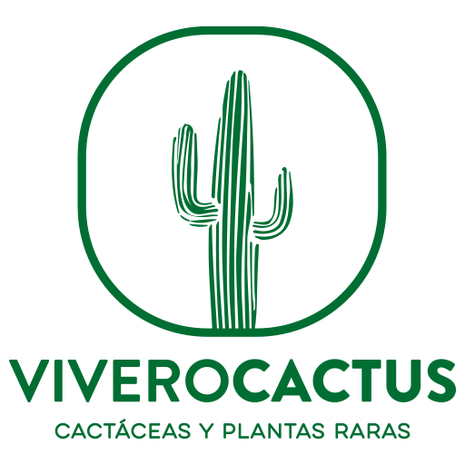 Vivero Cactus